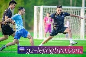 瑞典对决荷兰 F组关键战役前瞻